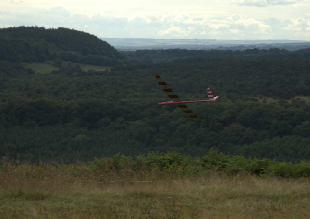 DSC_0135.jpg