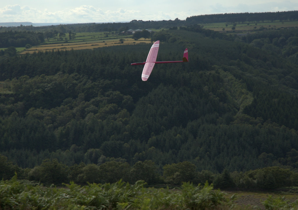 DSC_0145.jpg