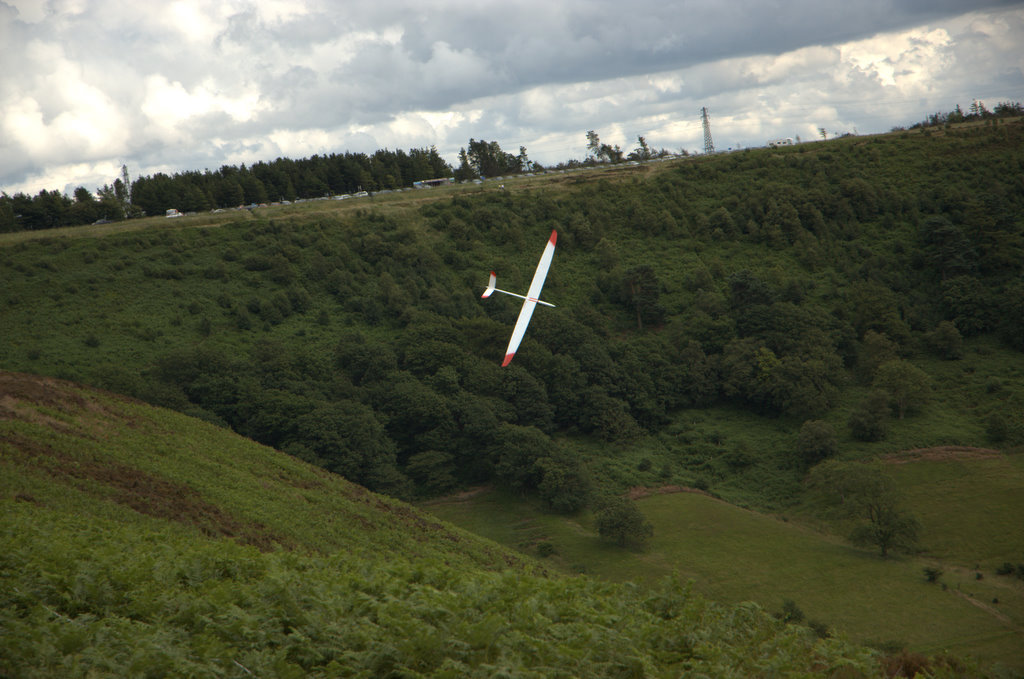DSC_0220.jpg