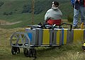 DSC_0161.jpg