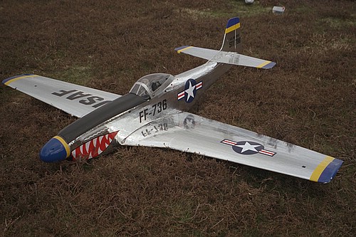 PSS - 100